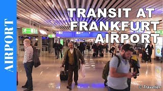 TRANSIT WALK AT FRANKFURT Airport FRA Terminal 1  Connection Flight Transfer Arriving amp Departing [upl. by Emeric]