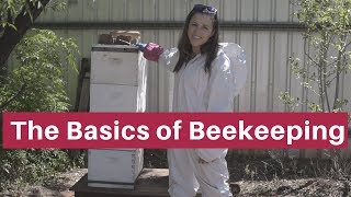 John Cleese and Rowan Atkinson  Beekeeping [upl. by Clardy]