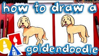 How To Draw A Goldendoodle [upl. by Arramahs]