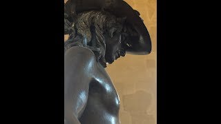 Donatello David 360 view [upl. by Quint907]