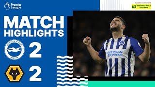 Brighton amp Hove Albion 2 Wolverhampton Wanderers 2 [upl. by Aynod408]