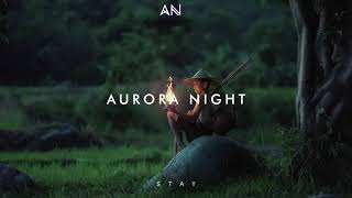 Chillout Music 2020  Aurora Night  Stay [upl. by Novyat697]